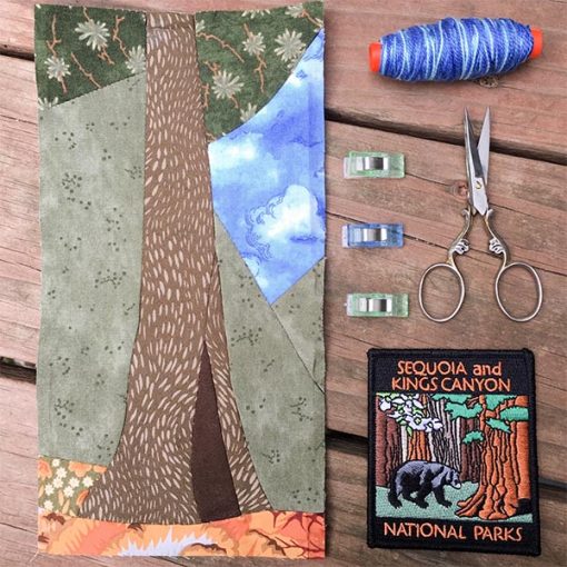 Sequoia NP EPP & FPP Pattern - PDF Download