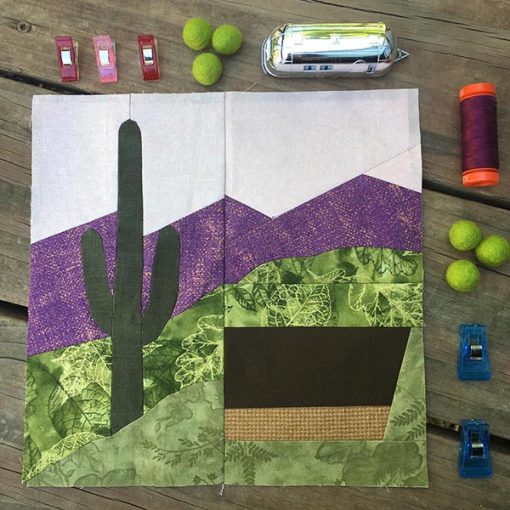 Saguaro NP EPP & FPP Pattern - PDF Download