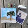 Joshua Tree NP Pattern - EPP & FPP - PDF Download
