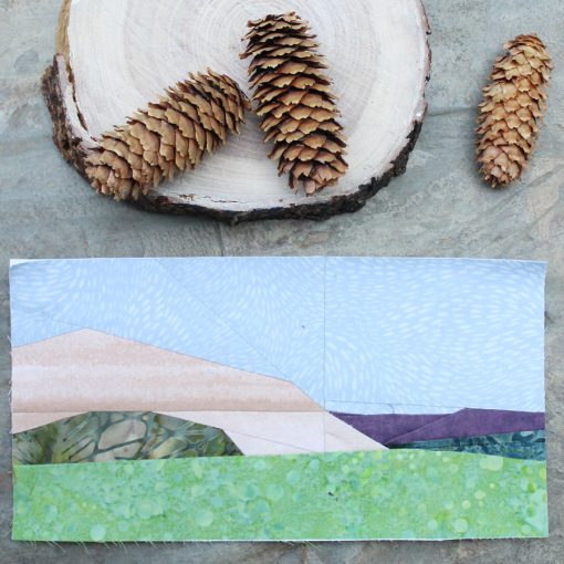 Theodore Roosevelt NP Pattern - EPP & FPP - PDF Download