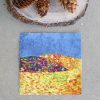 Carrizo Plain NM Pattern - EPP & FPP - PDF Download