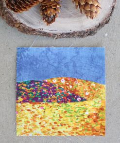 Carrizo Plain NM Pattern - EPP & FPP - PDF Download