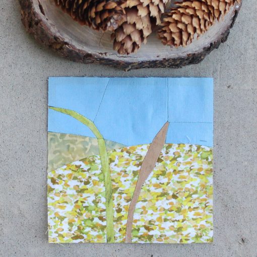 Tallgrass Prairie National Preserve Pattern - EPP & FPP - PDF Download