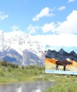 Schwabacher's Landing Pattern - EPP & FPP - PDF Download